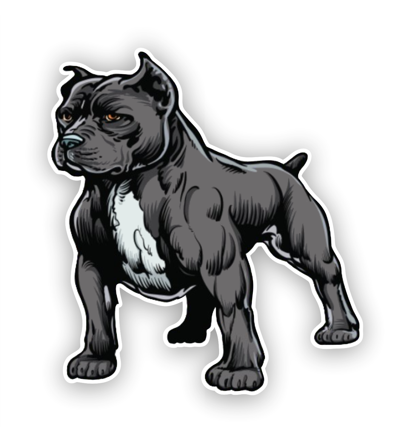 Tier - Hund - Dog - Zeichnung - Pitbull