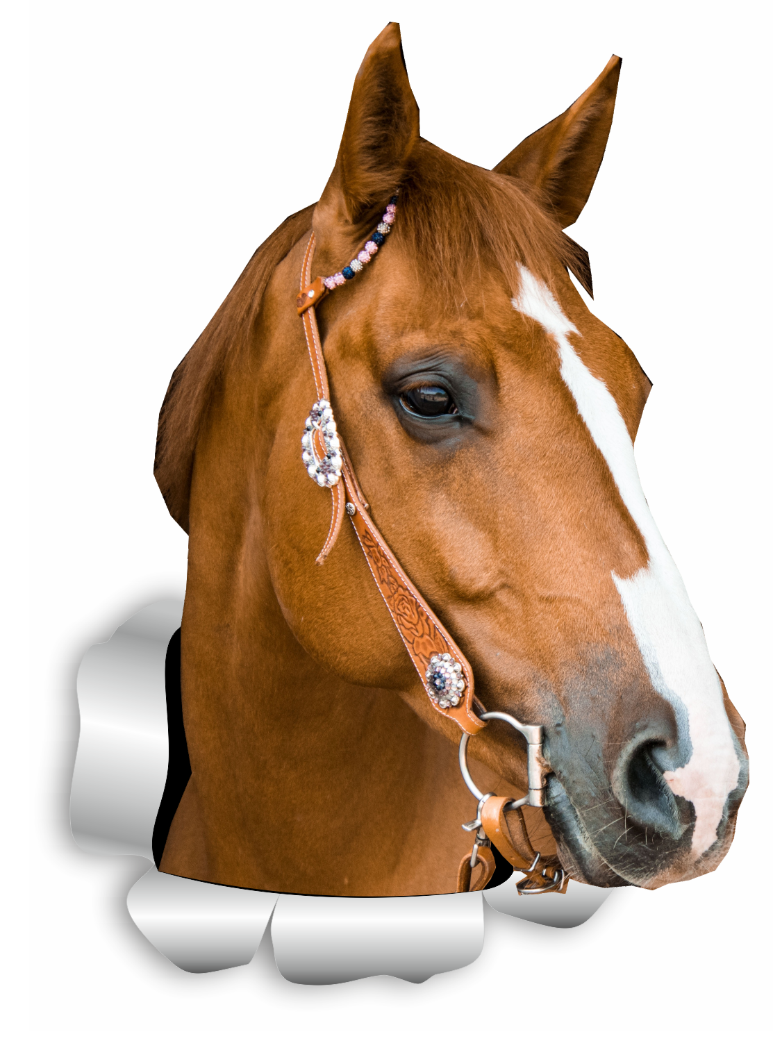 Autoaufkleber Tier - Pferd - Pferdekopf braun, Portrait