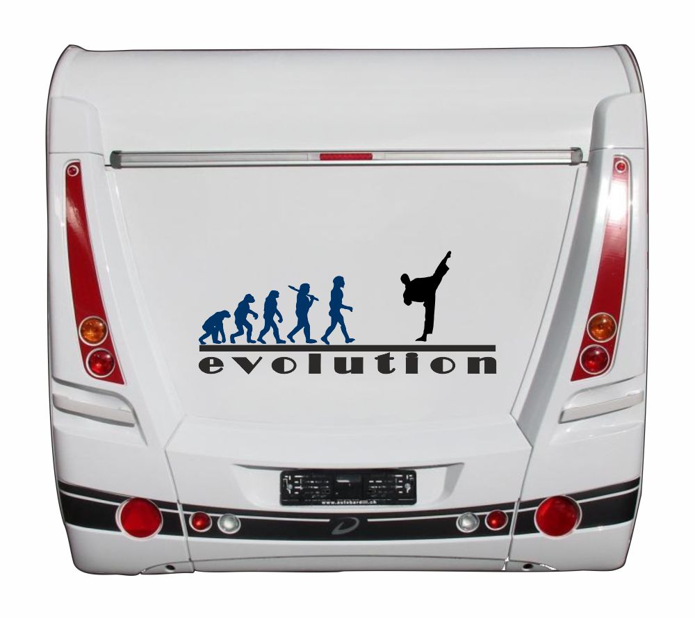 Aufkleber - Freizeit - Hobby - Sport - MMA - Judo - Silhouette -Evolution