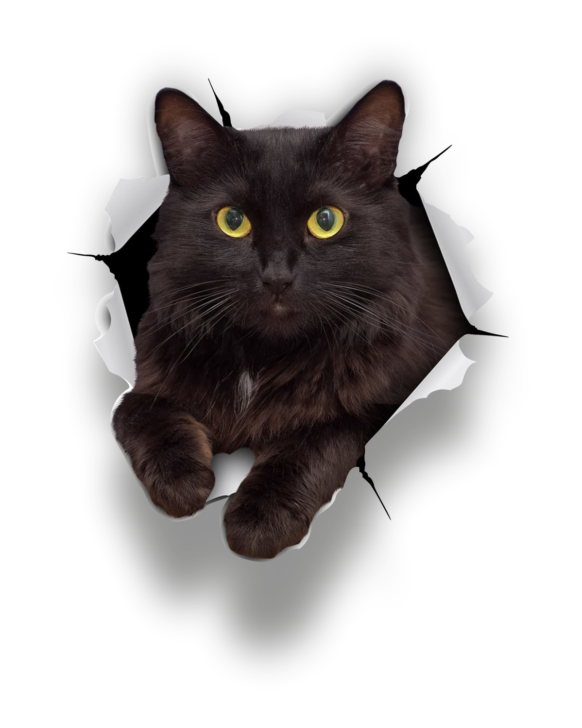 Autoaufkleber Tier - Katze schwarz - Kitten, 3D Effekt