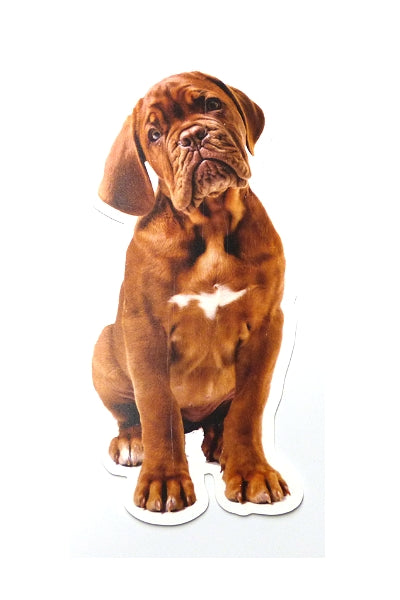 Autoaufkleber Hunde - Bordeauxdogge sitzt