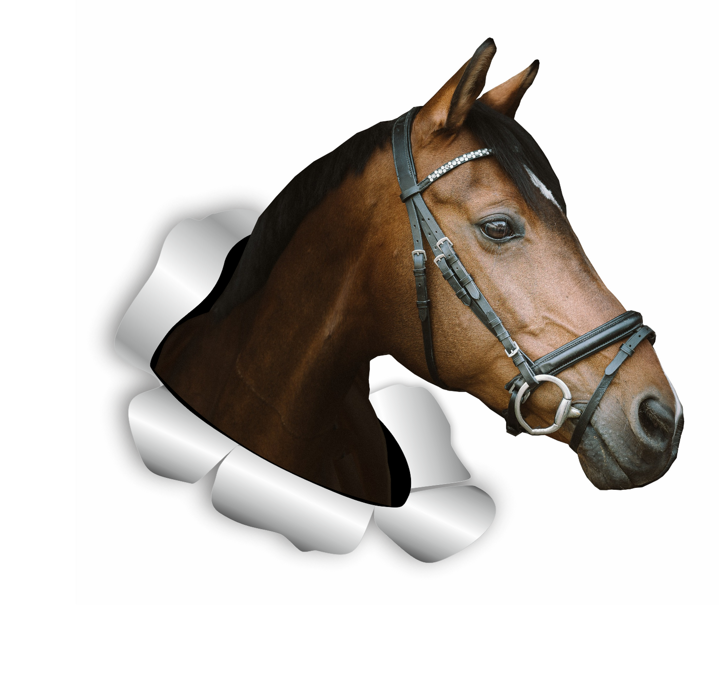 Autoaufkleber Tier - Pferd - Pferdekopf dunkelbraun, Portrait