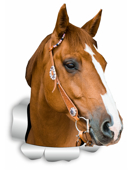 Autoaufkleber Tier - Pferd - Pferdekopf braun, Portrait