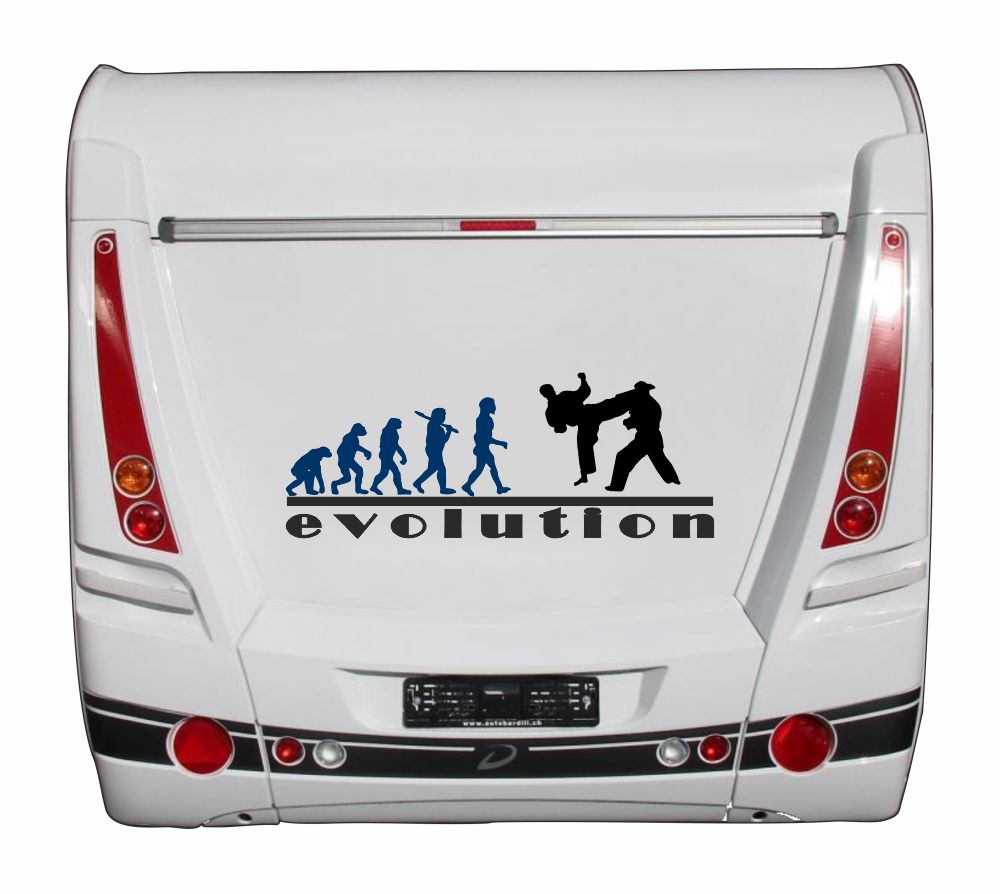 Aufkleber - Freizeit - Hobby - Sport - MMA - Judo - Karate - Silhouette -Evolution