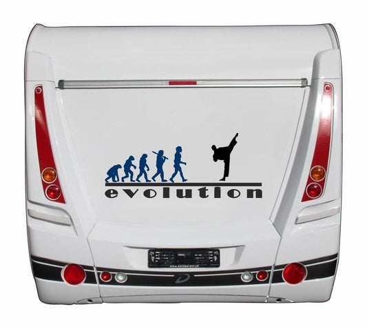 Aufkleber - Freizeit - Hobby - Sport - MMA - Judo  - Silhouette -Evolution