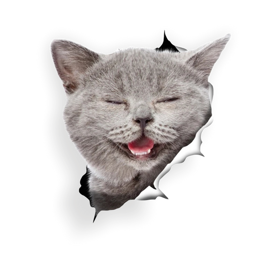 Autoaufkleber Tier - Katze grau - Protrait - Kitten, 3D Effekt