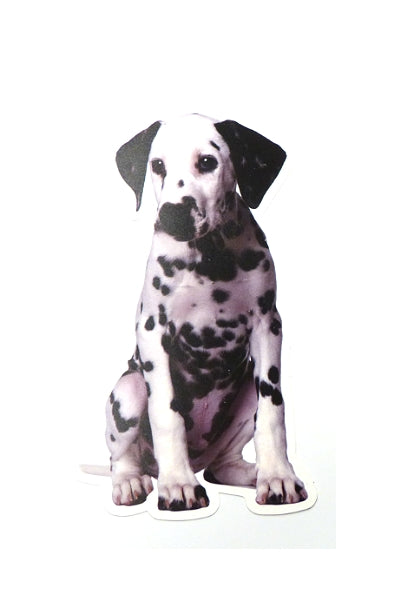 Autoaufkleber Hunde - Dalmatiner, sitzt